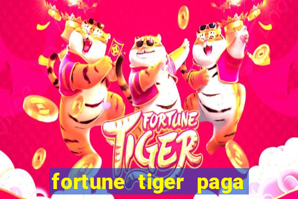 fortune tiger paga de madrugada